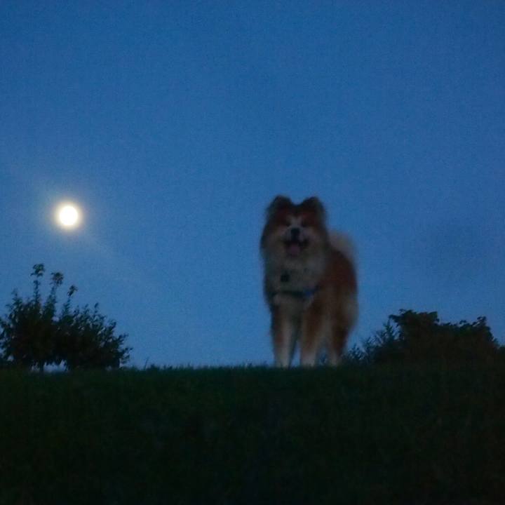 02e4cf5b cef3 4c79 94ec 8683cd970333