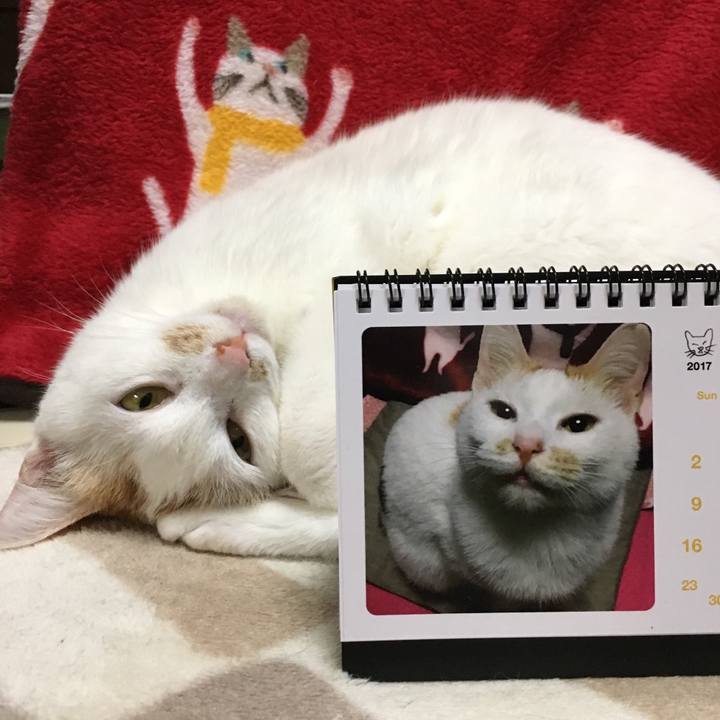 02e5253a 0929 443c a171 47a80142c30c