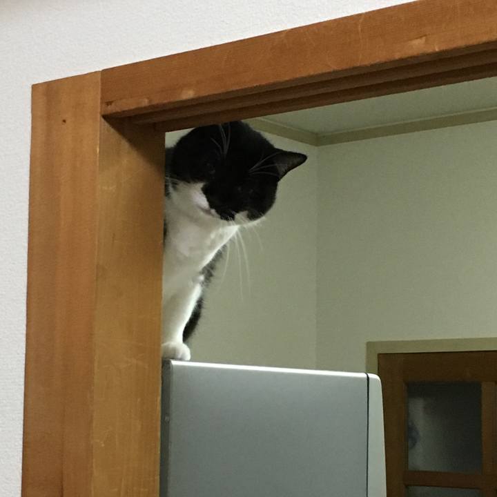 02e56d12 d27d 4fc0 ad8e 06209b0fb852