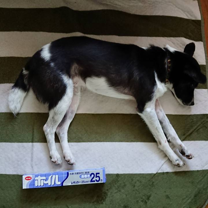 02e59823 9643 4db9 a673 24a97ce18eba