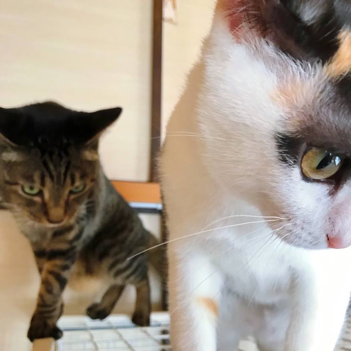 02e5c5ca 4330 4c5a aa78 ff50b56ea558