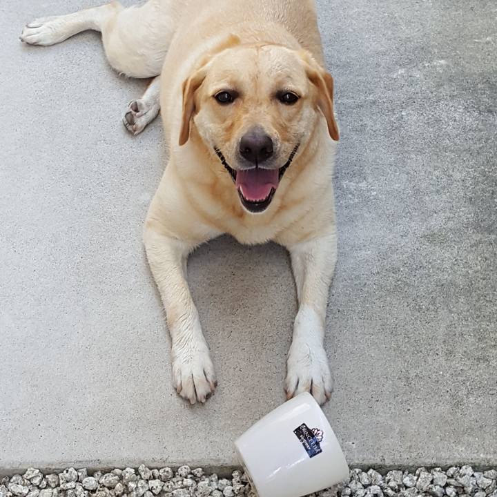 02e5f101 a07e 45f8 98c3 fe36f7ce17a2