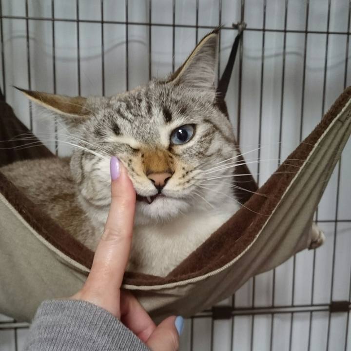 02e6d078 e190 446f 98f2 a5c33009c184