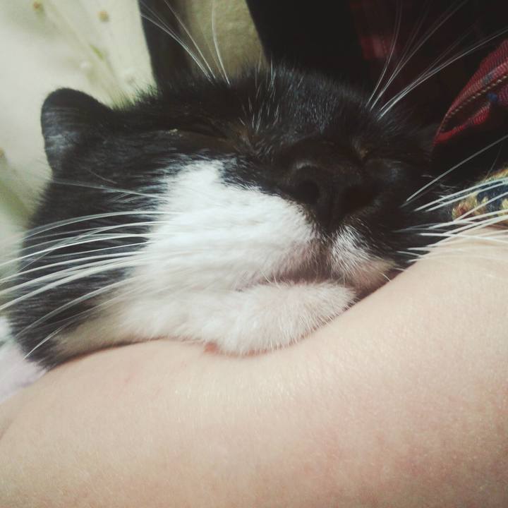 02e6eefb 56f8 4829 bf17 fc2aca200848