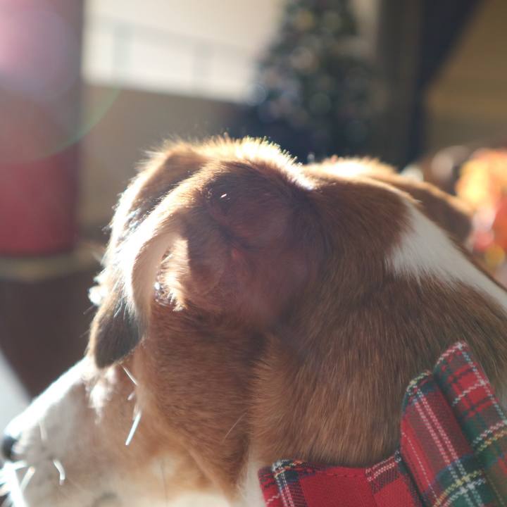 02e73896 53a1 4da5 a119 511f2bad533c