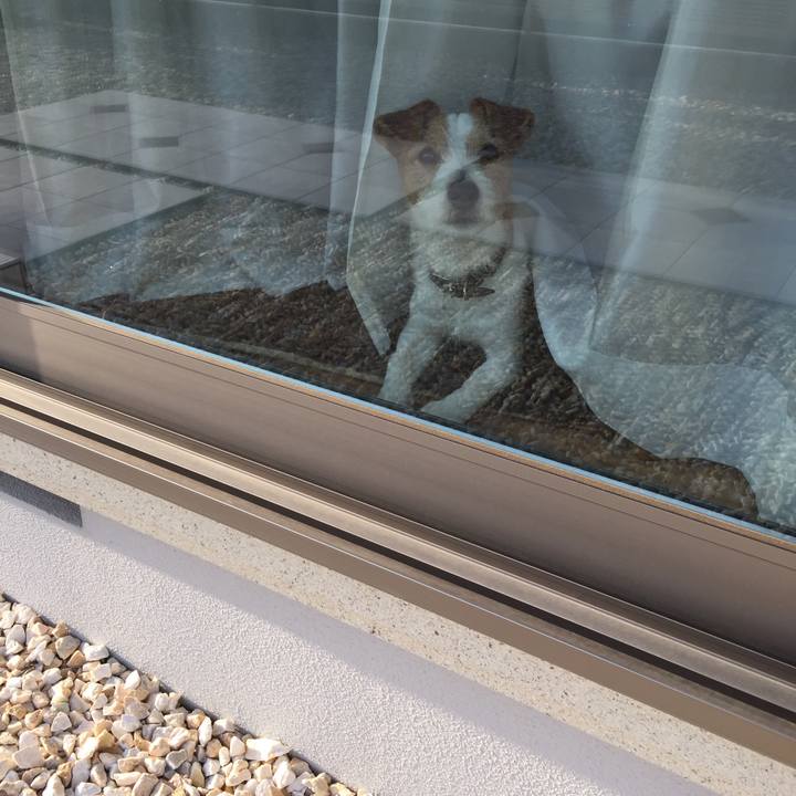 02e74f89 19d7 4f4d bd24 f6c4b4edafc2