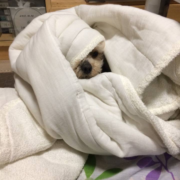 02e7b02f 5549 4bad ad90 1faf8dff862d