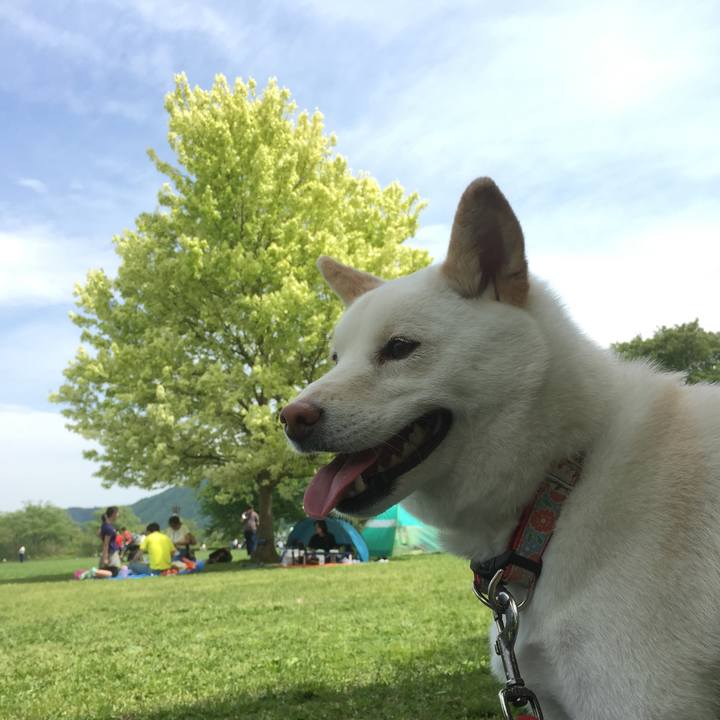 02e7cd3b 0b86 40cb b5eb b4adc06bdd04