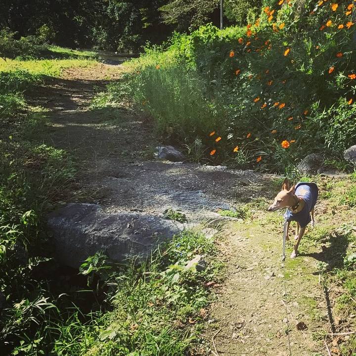 02e812da 0476 4fd4 b029 8f9c63536db7