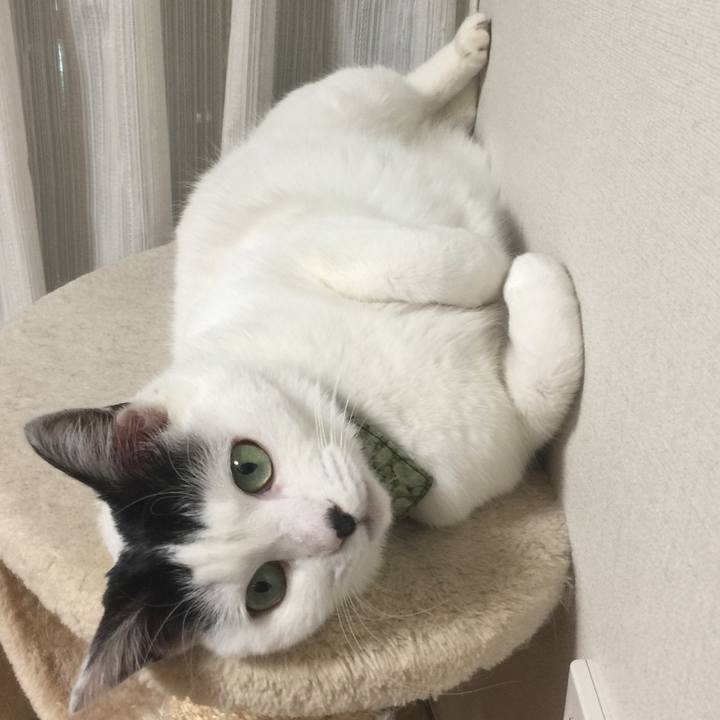 02e84962 f3e7 4665 8545 2c84e4692eae