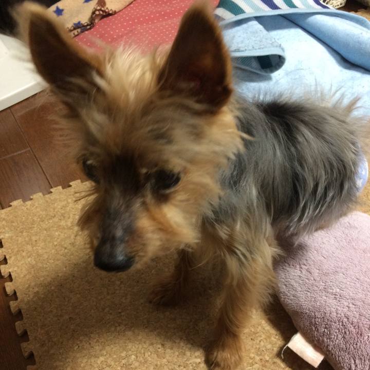 02e89ba5 68e2 462e 87a2 49d020c9c611