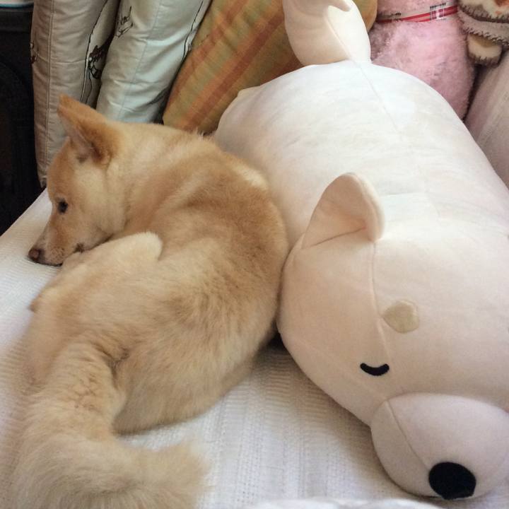 02e8ae0f 480c 469b 9af2 302f6941818f