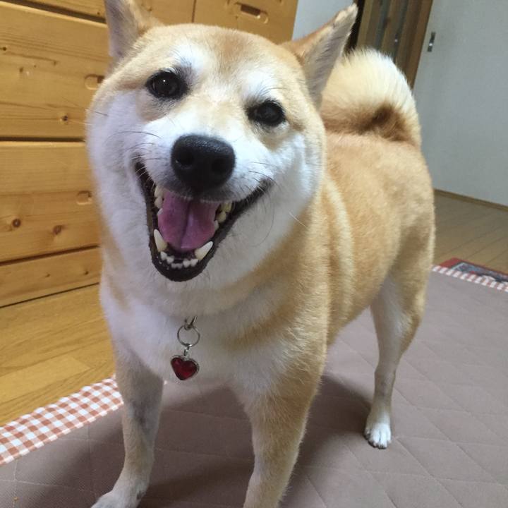 02e8d1bf 948a 4abc 937e f6e6db7a204f