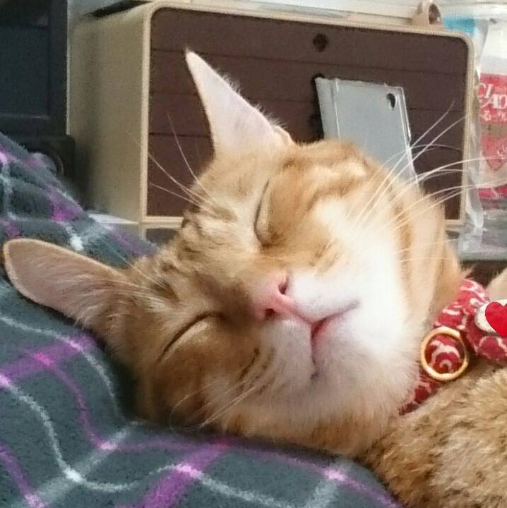 02e916f0 2cda 44d6 a630 07cc2cb19f80