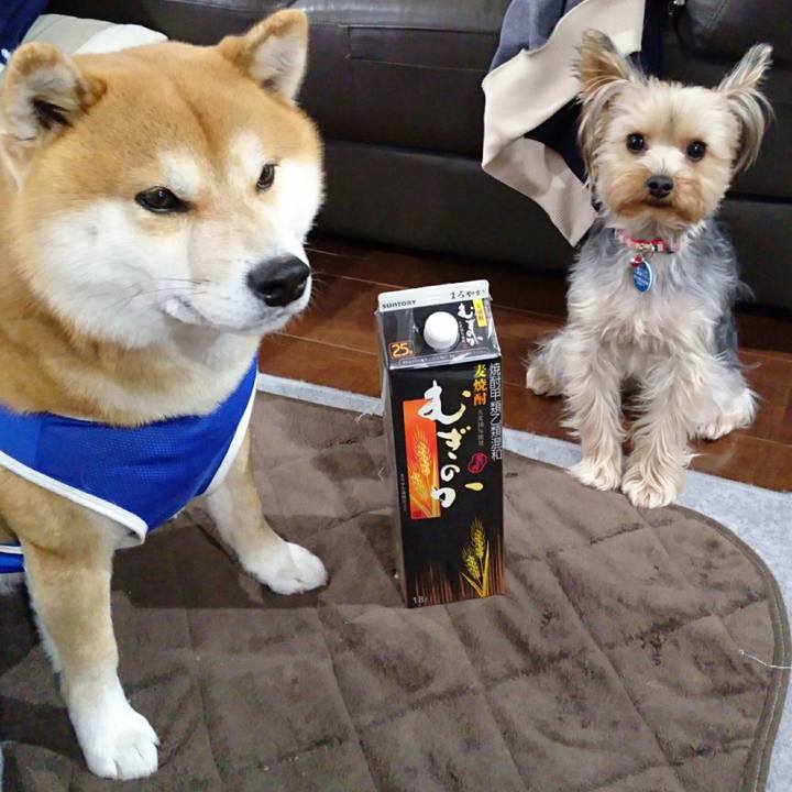 02e98122 290f 43d1 8743 f3f6560483ed