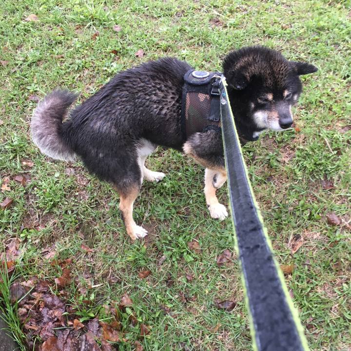 02e9a261 fe92 4f8e bb35 3ad9eb31189a