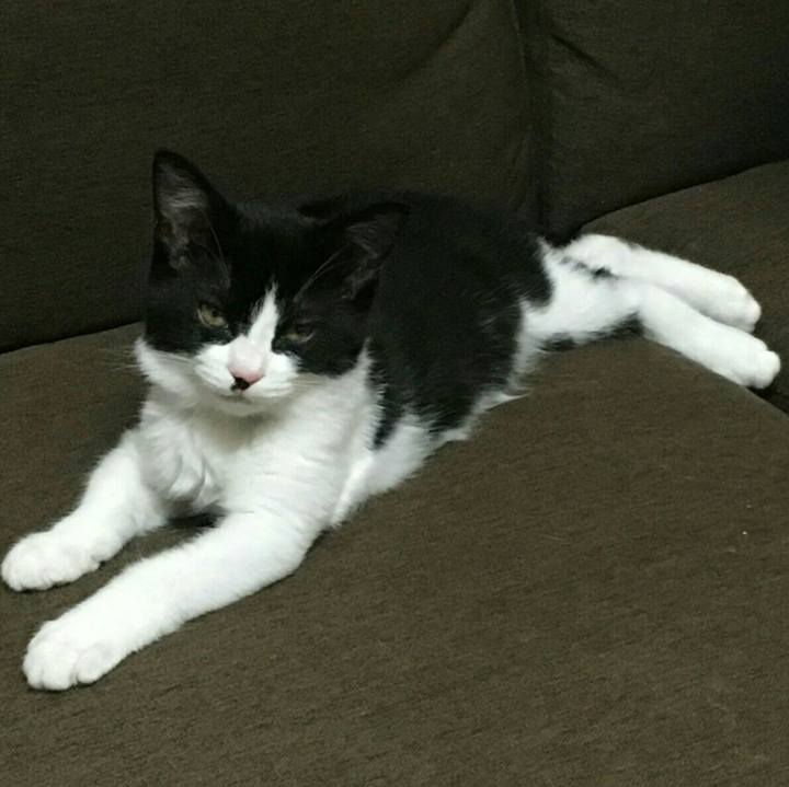 02e9b239 5ec9 42cc bcbc 7b2575a38962