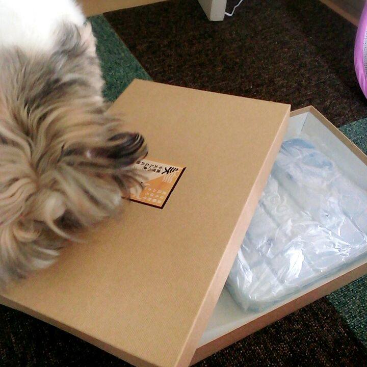 02ea5605 61ab 4b0d a2a9 90ed33836f41