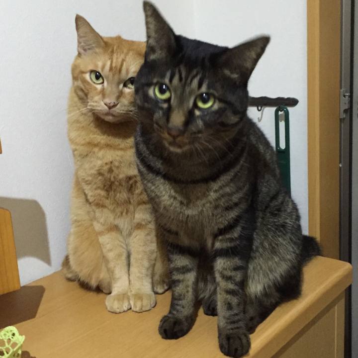 02ea59de 73c9 4cbb bec9 9e884b8a863c