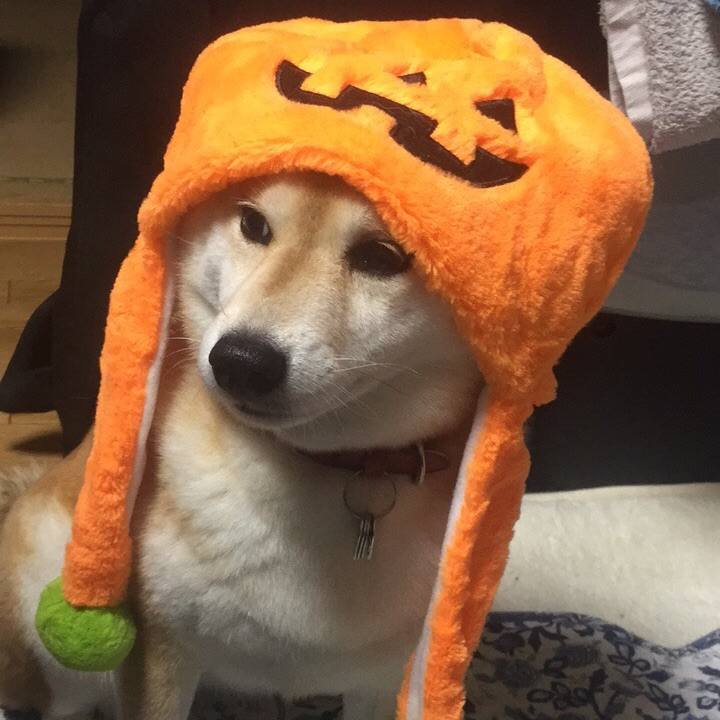 02ea7e36 c801 4333 9d71 51a63860056b