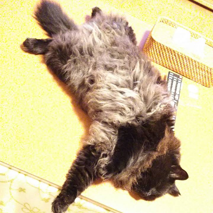 02ec0a98 69ca 4227 ae75 25269b33bba5