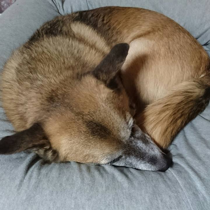 02ec4e8f 2069 454d bb5c 6a2aed9e9d6d