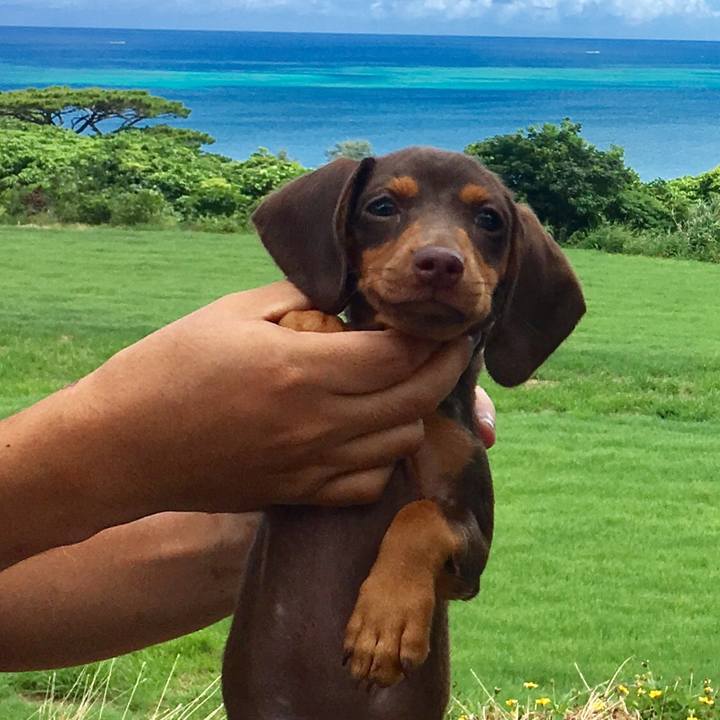 02ec6128 b307 4012 a949 3fc4c2ae0a60