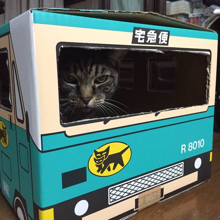 02ece8ee cb39 4f26 876d 632a47a80178