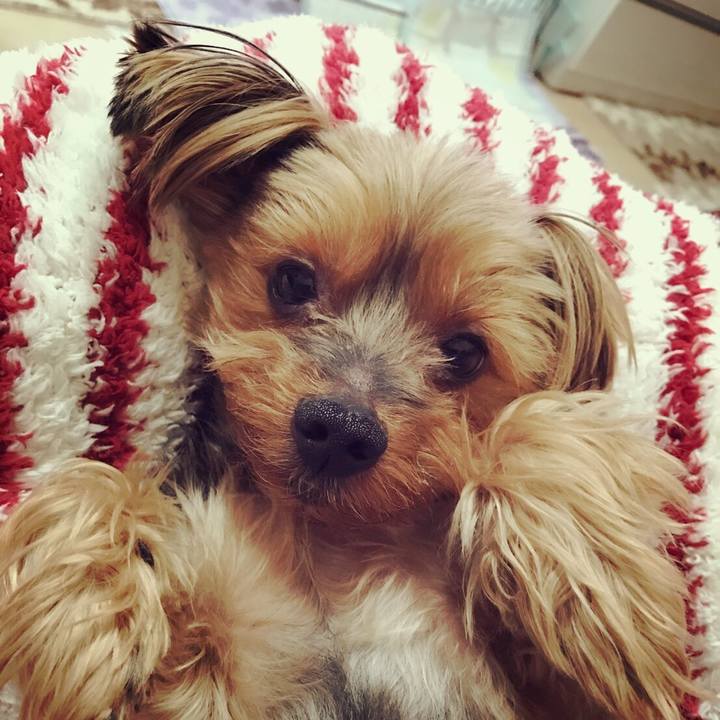 02ee1fea e4f7 40c8 a5e9 1a44a257c688