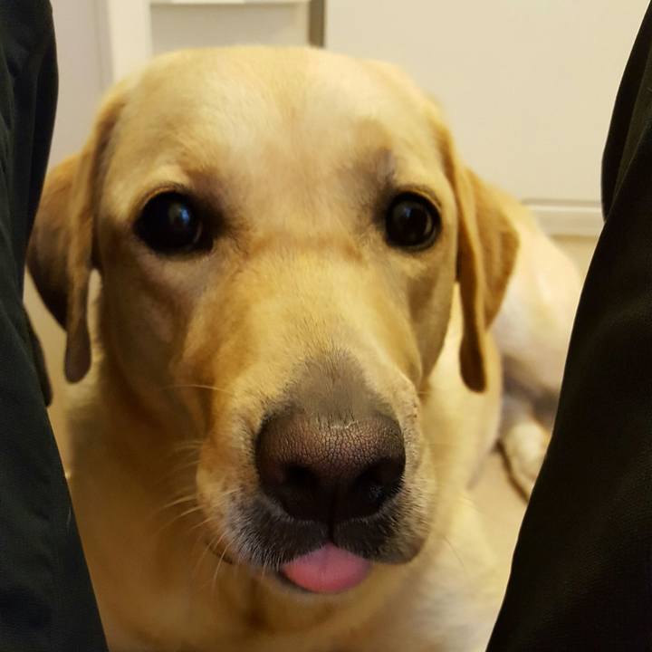 02eea69f 0cc2 4dbc 872c 092cd330f917