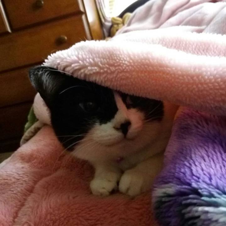 02eed088 9e53 4eda 80d2 6d1e8f219141