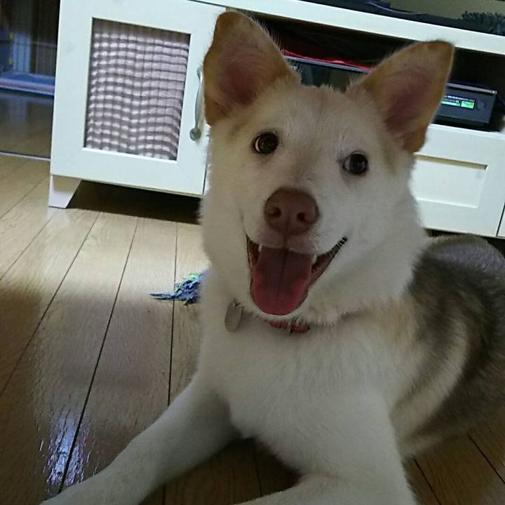 02eef12e 2540 4e86 b82c 31508b1708a8