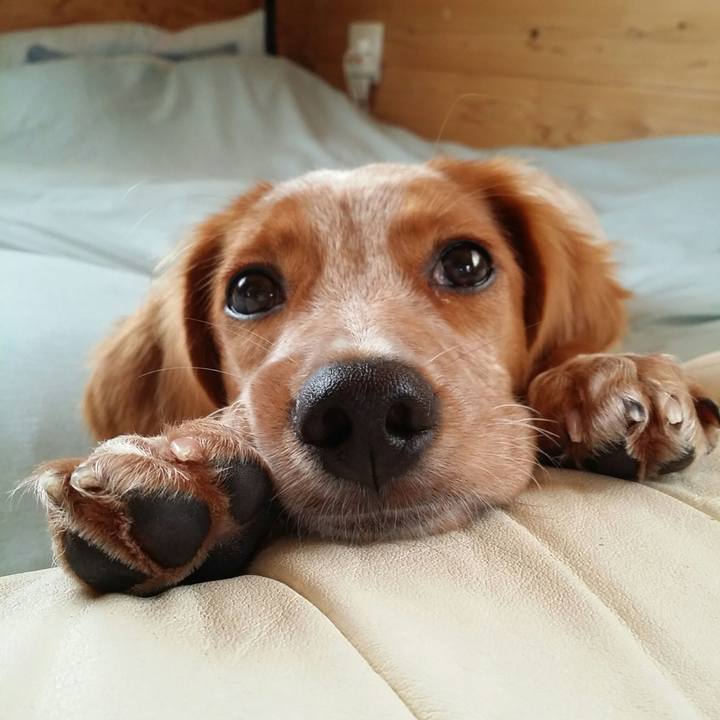 02ef08eb d943 49c0 aa6b c44fc0d047a7