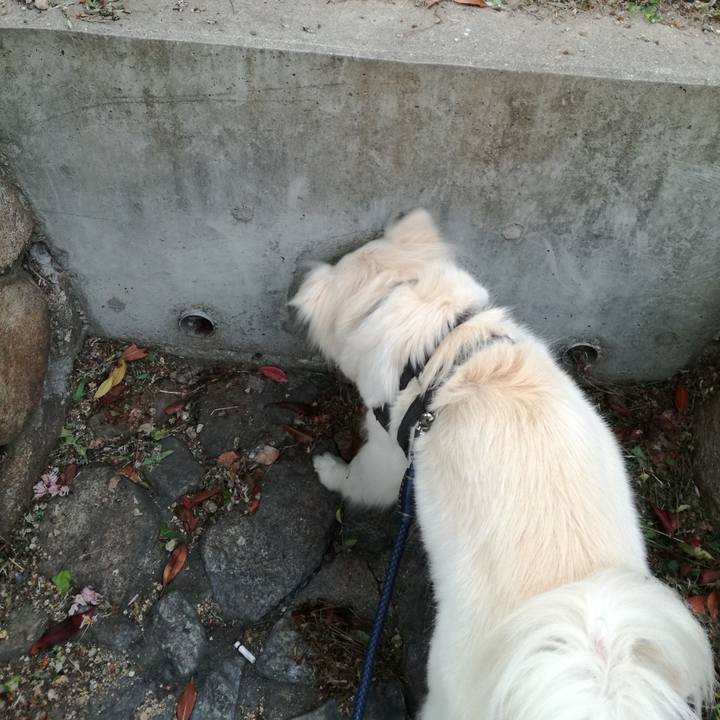 02ef0b2e dd5a 4d75 a496 6bedab18a299