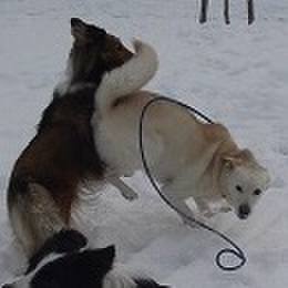 02efb182 2313 45a4 9aa8 8b215512110d