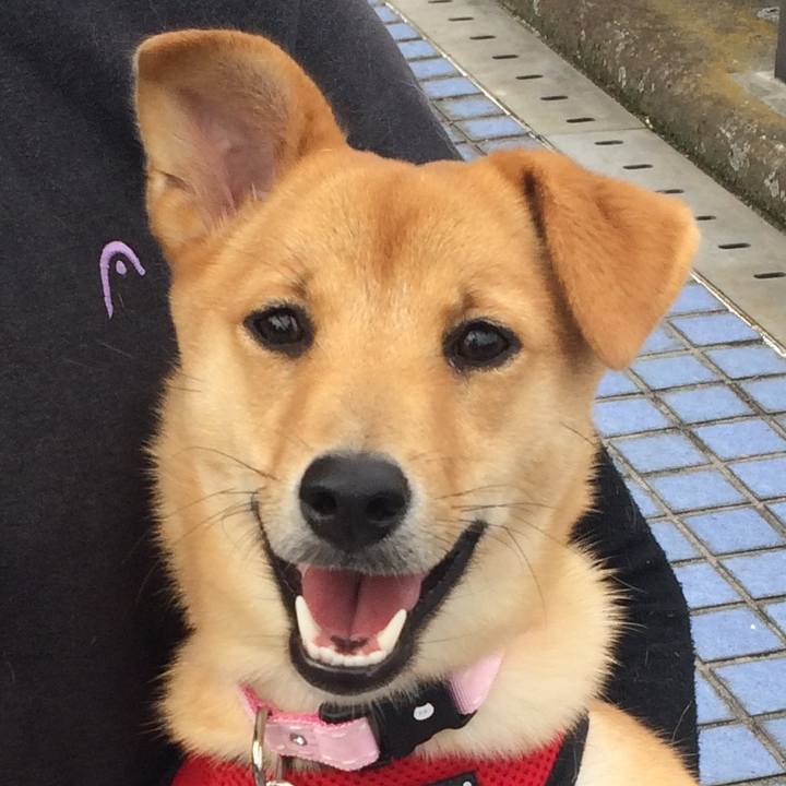 02f00cf0 cd17 473f aa08 672ca0050773