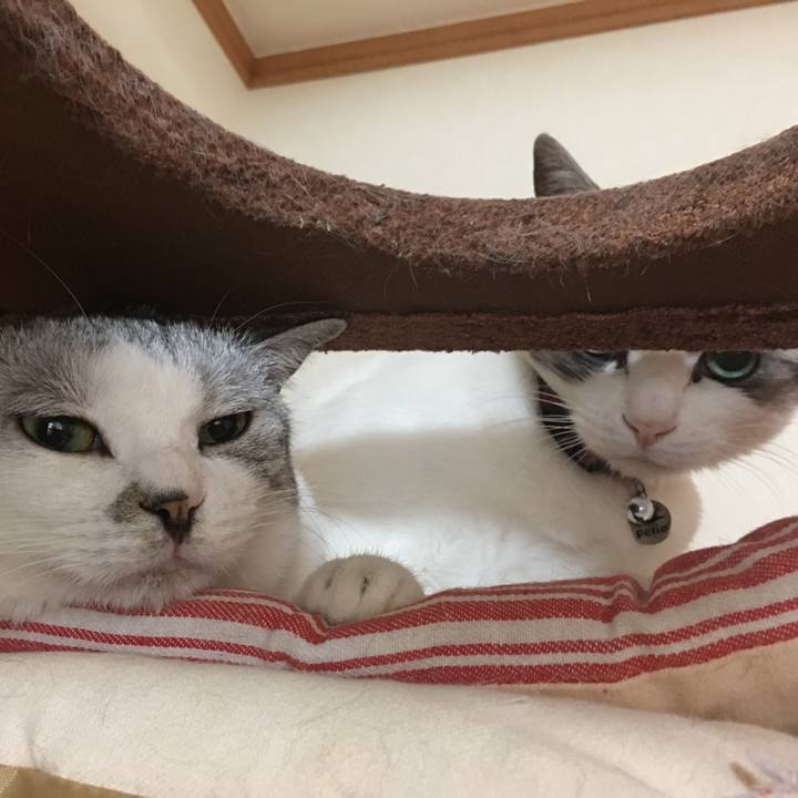 02f05548 e25c 4120 89ec d07e562f37c4