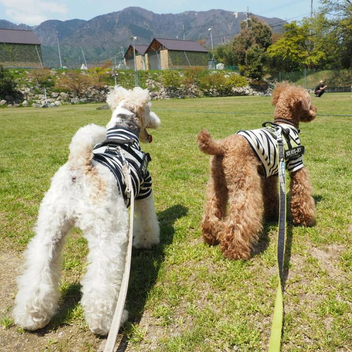 02f095be 2c07 4981 9a8e b8e7cadc8323