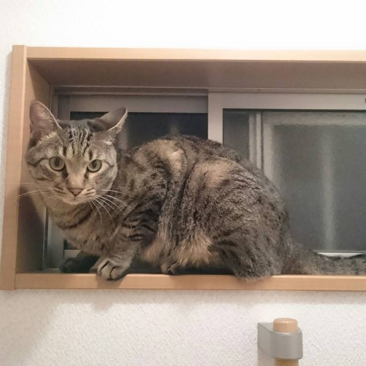 02f1269c 7c37 48f2 80d7 04b02ea68812