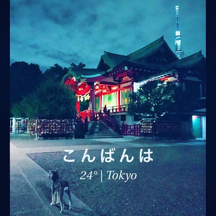 02f1321f b498 470b be38 25c7ea73a6cf