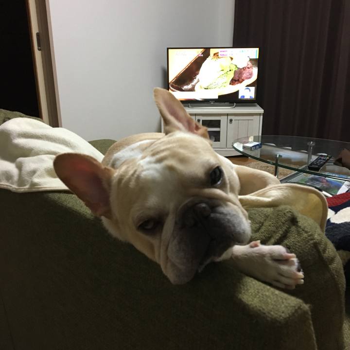 02f1adc8 1ce8 4f1e b4fb 4f92b2ec77c7