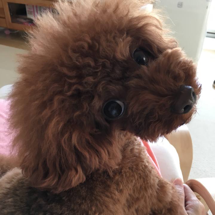 02f1eb17 9236 43aa b848 2911ddce72e9