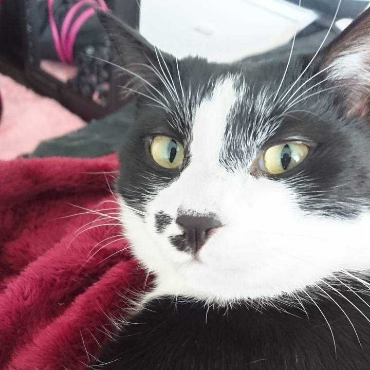 02f23874 7b73 4f25 bd98 c6786893b214