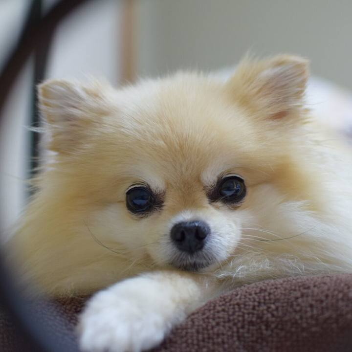 02f26282 957a 4a95 abf0 2cd85dc7d957