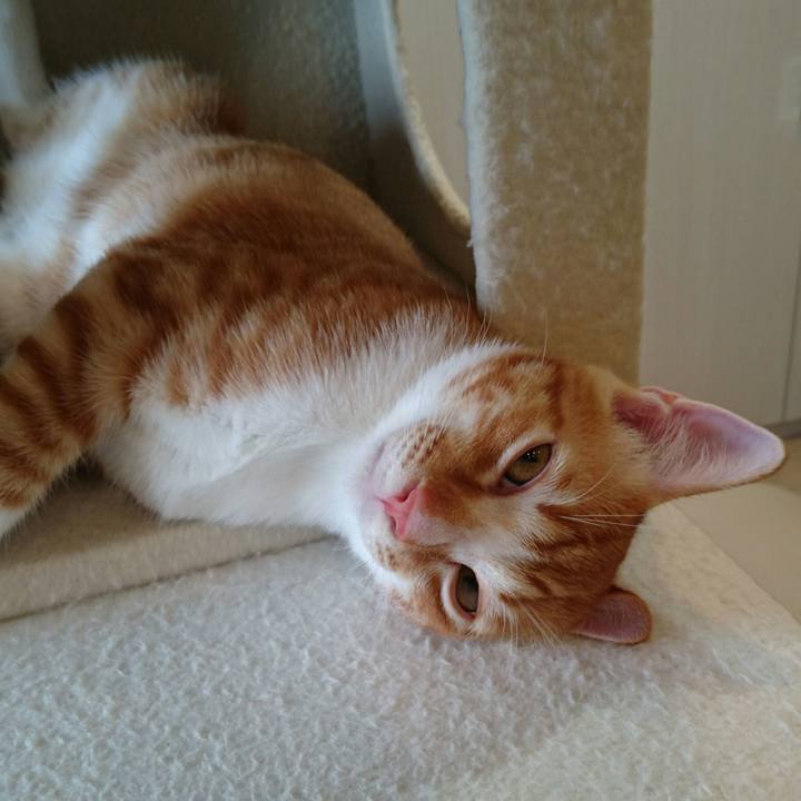 02f29636 82bc 497d b1e1 27d55b411745