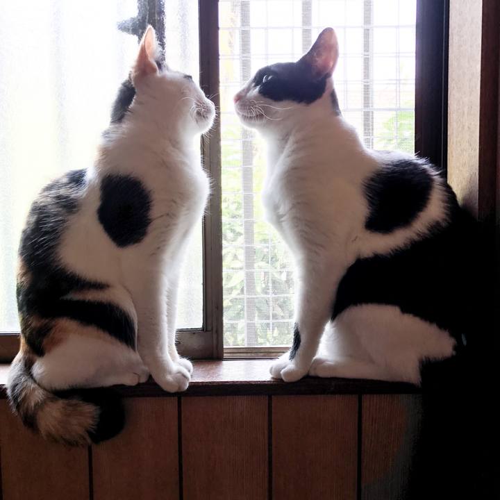 02f2cdd2 fb75 4c00 90a9 e79a259200da