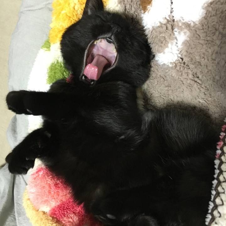 02f2f436 5067 4428 a749 4a2e9317457e