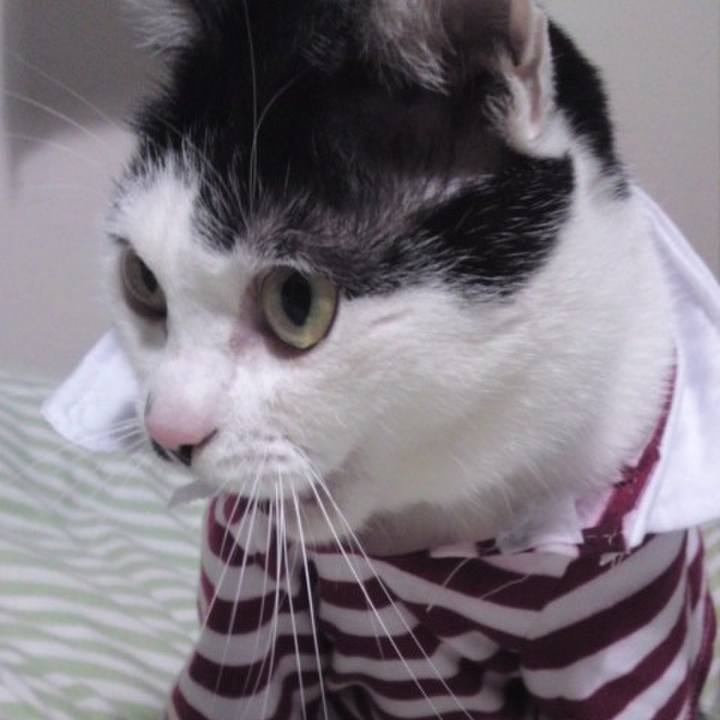 02f334c1 77b5 4e98 a3f6 bb885cd0b6aa