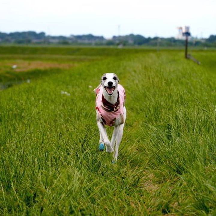 02f33c94 d091 4ec5 9f66 e491b8c34118