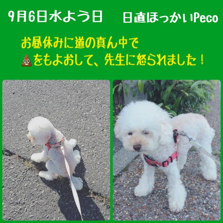 02f3ac79 0cde 4034 883c 20a2d2465ec1